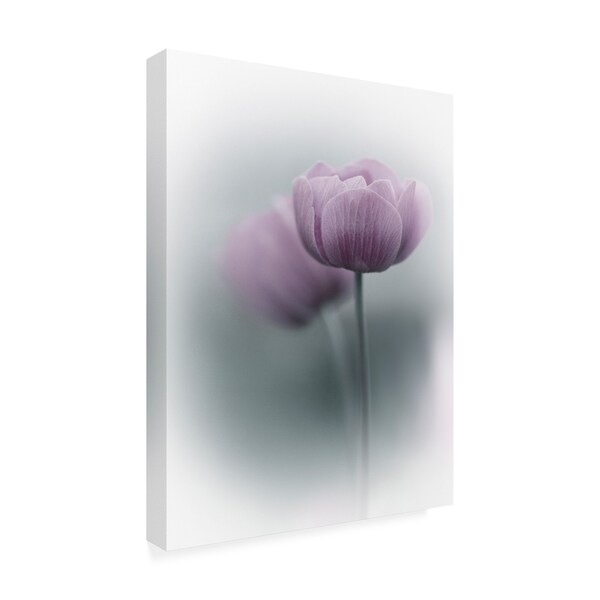 Purple Bamboo 'Purple Tulip Vignette' Canvas Art,35x47